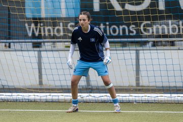 Bild 105 - wBJ Hamburger SV - FC Suederelbe : Ergebnis: 9:0